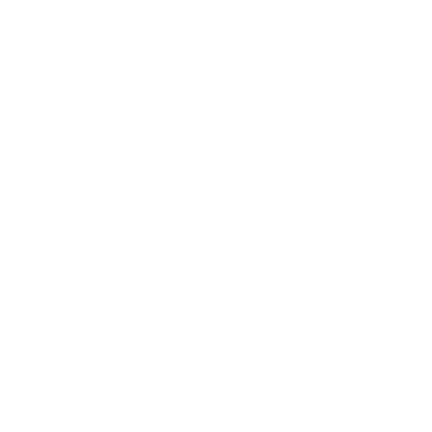 Logo Loading Image